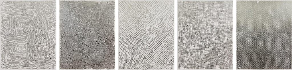 Untitled (Nets)