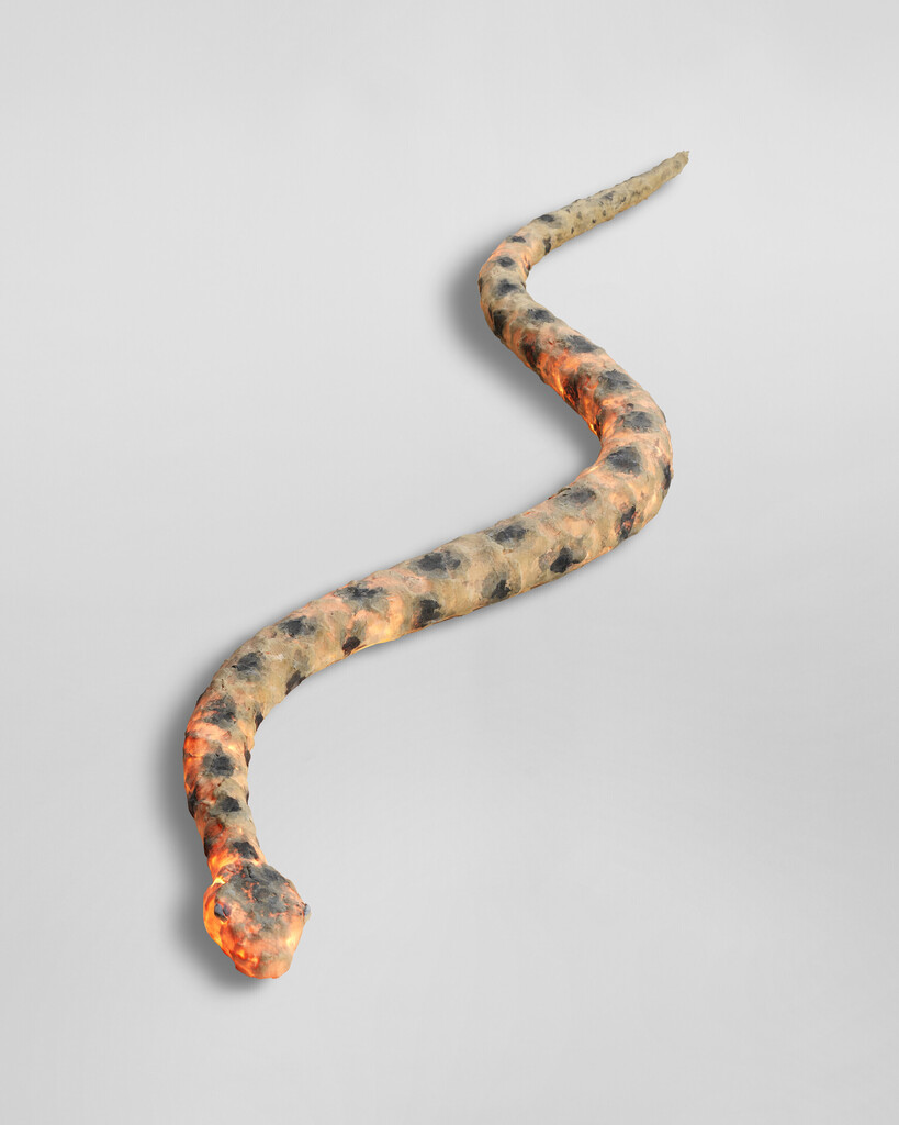 'THE SNAKE LAMP'