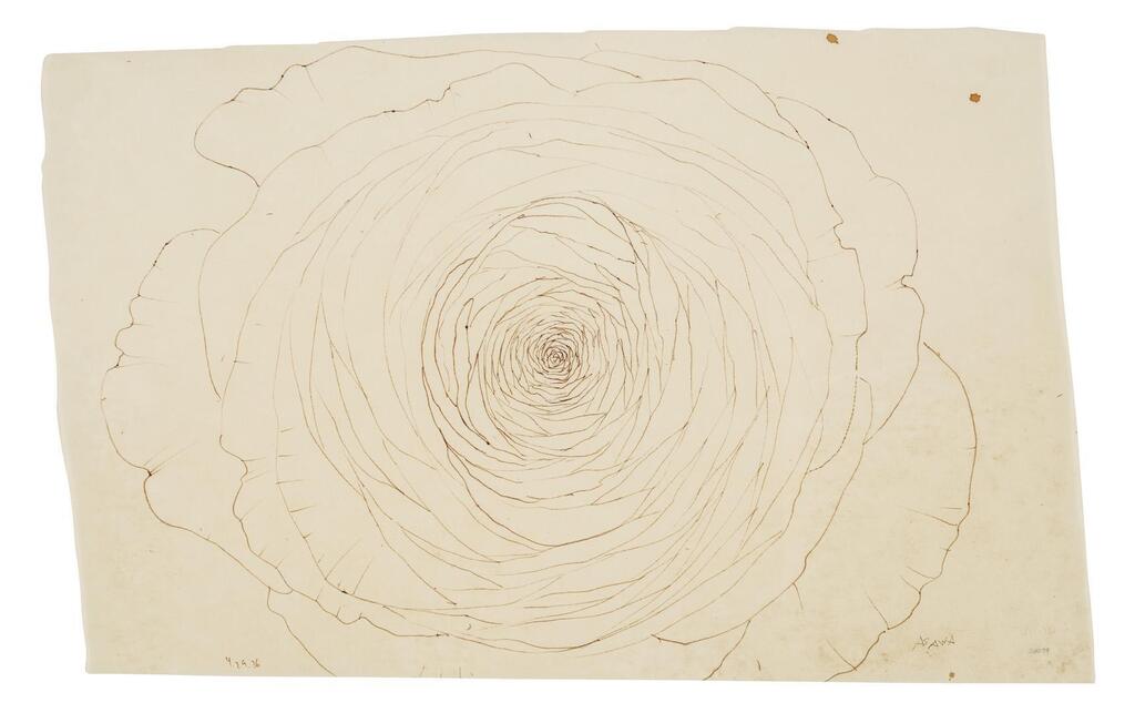 Untitled (PF.065, Succulent)