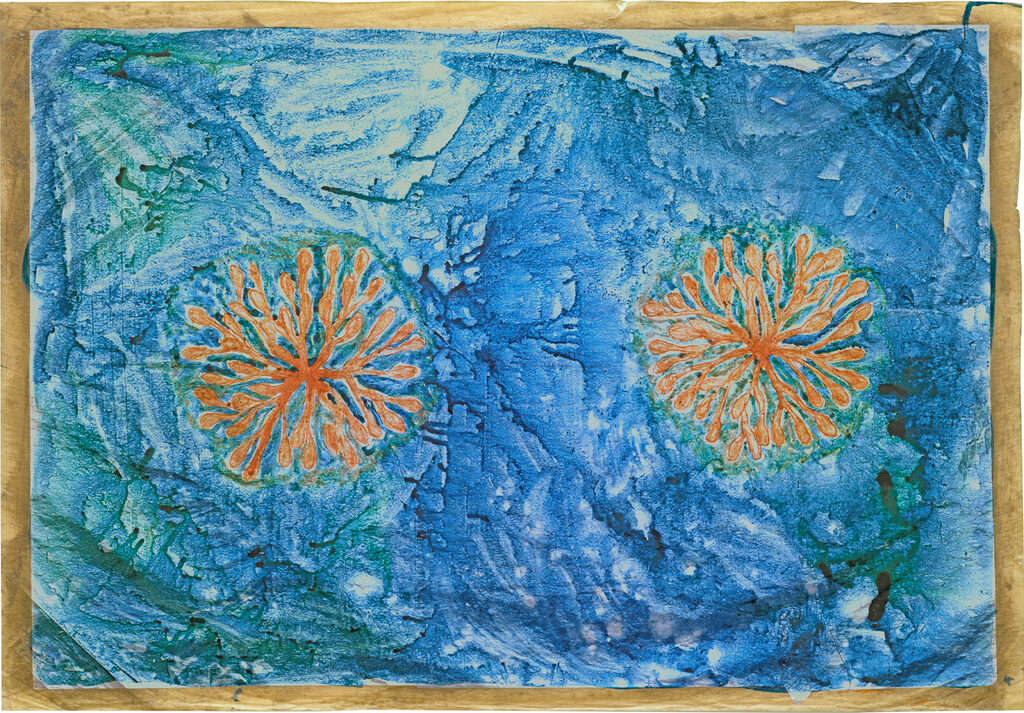 Untitled (Mammary)