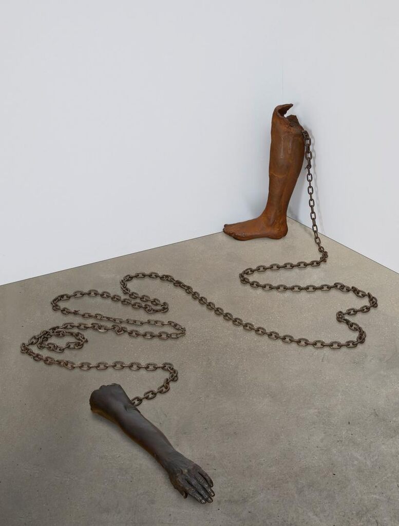 Untitled (arm and leg)