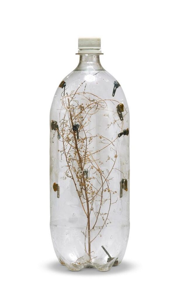 Flies in a Bottle