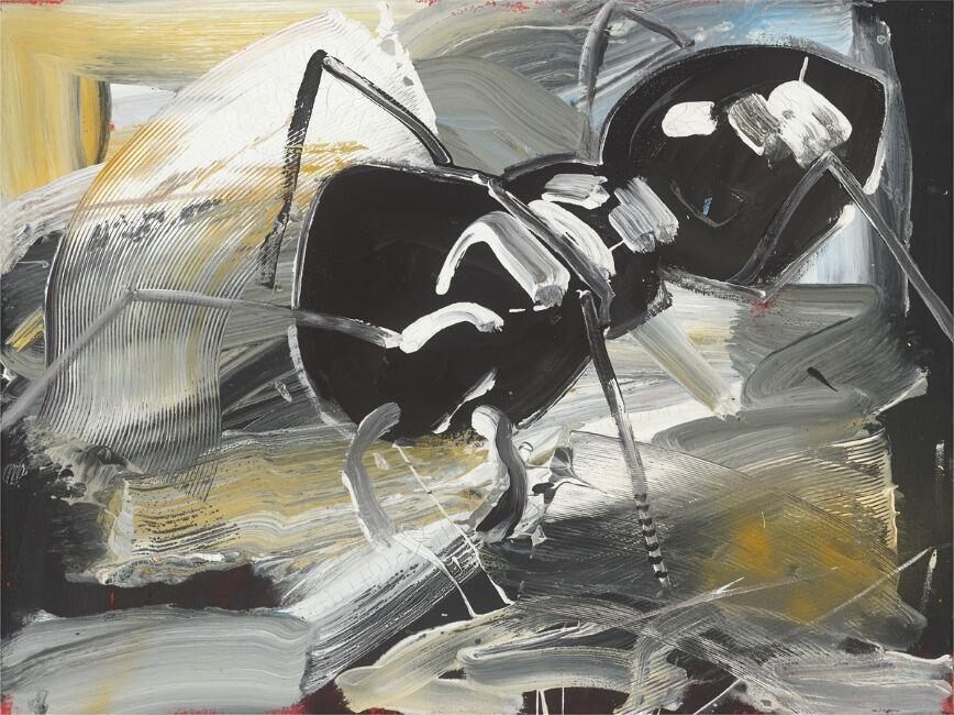 Ant