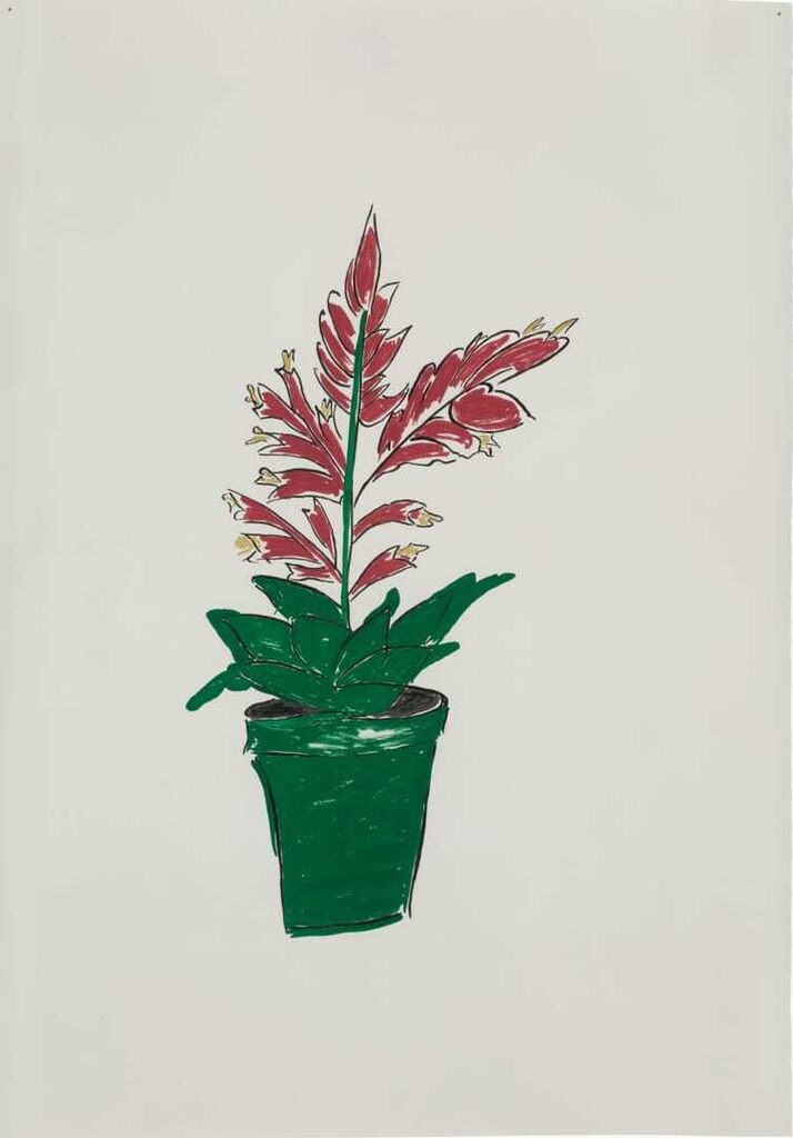 Red Flower