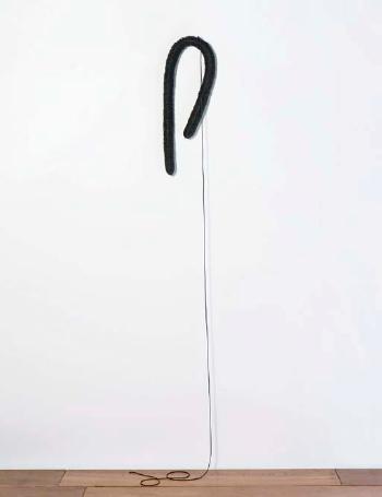 Untitled, lenk-balloon