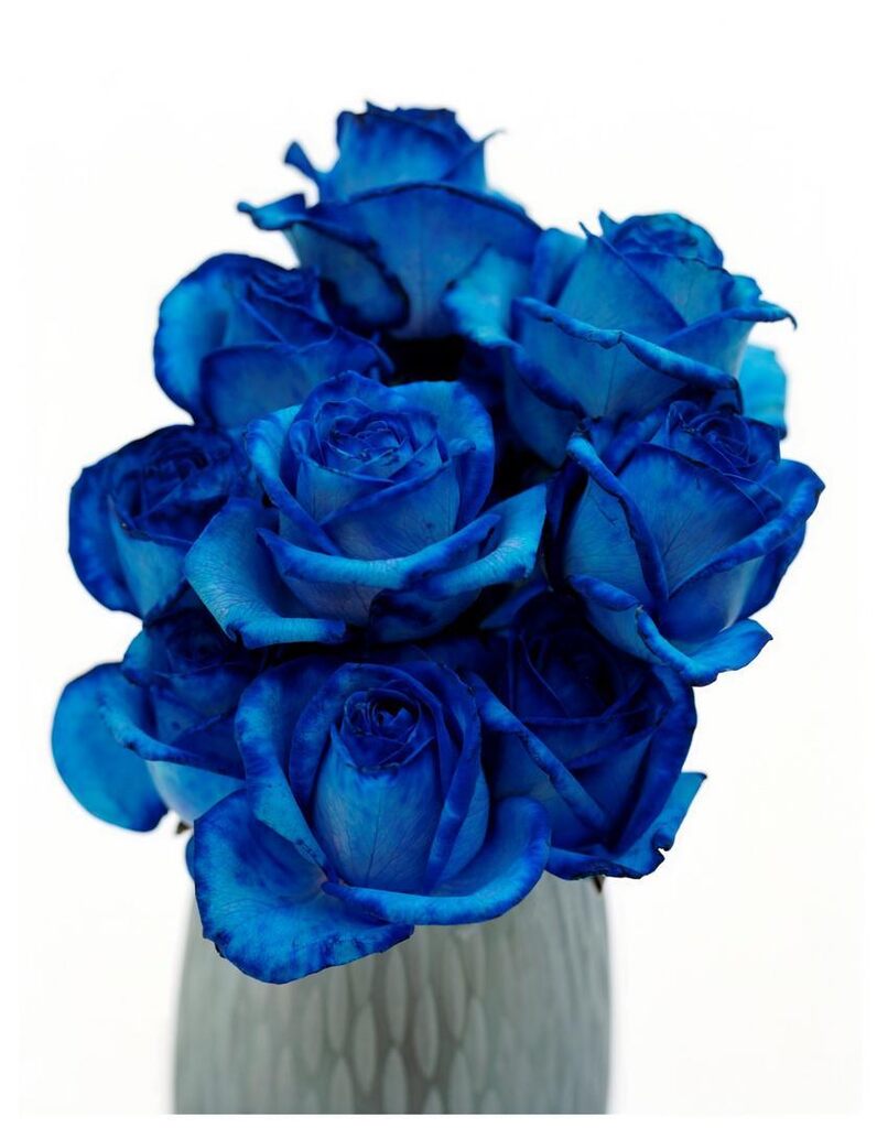 Blue Flower