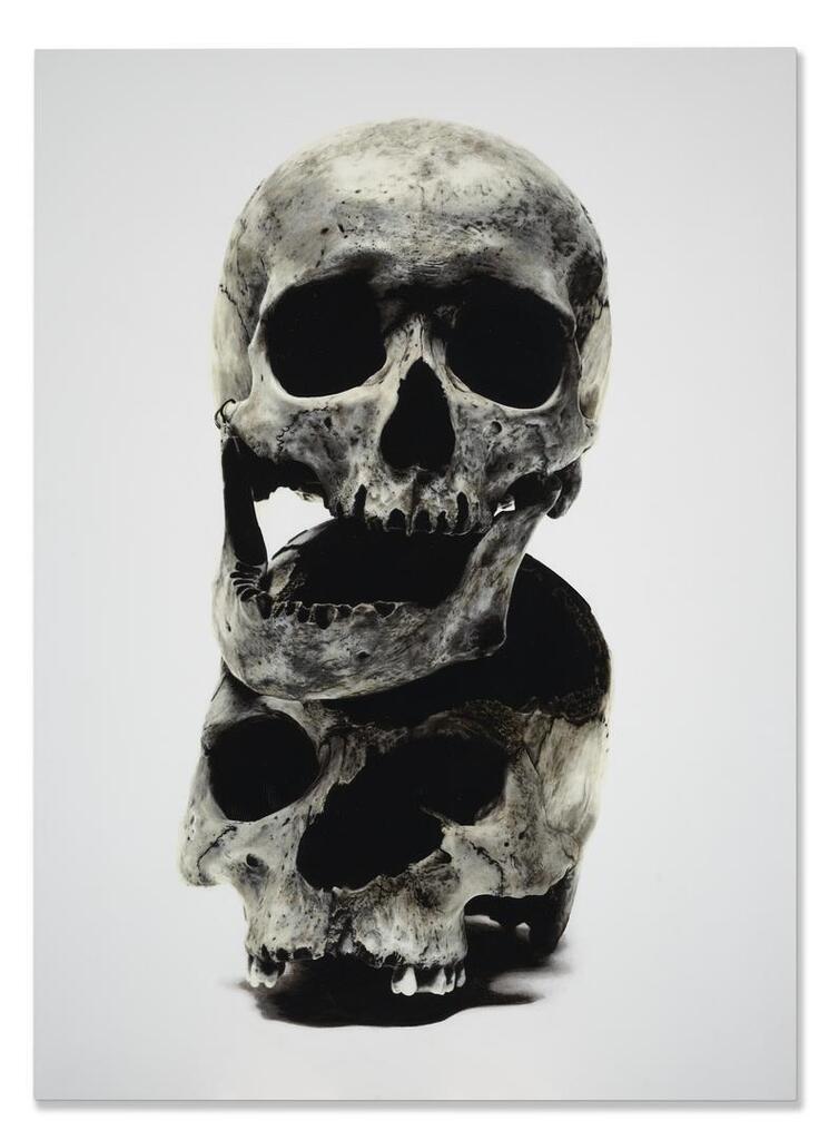 Two Skulls