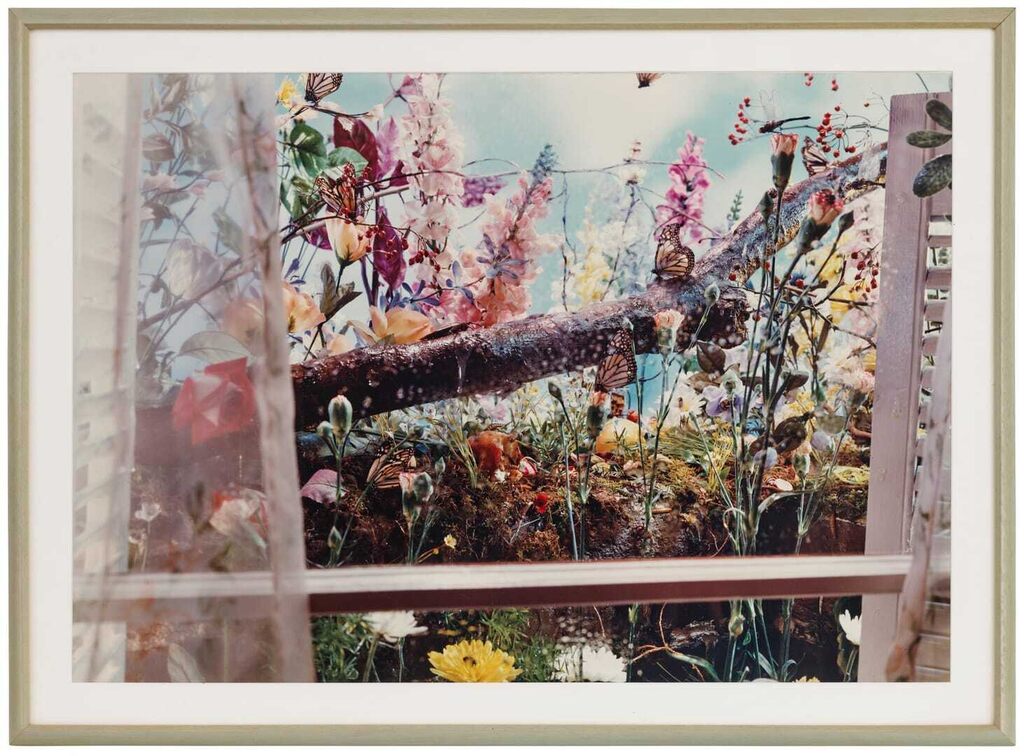 Untitled, from the series ‘Natural Wonder’