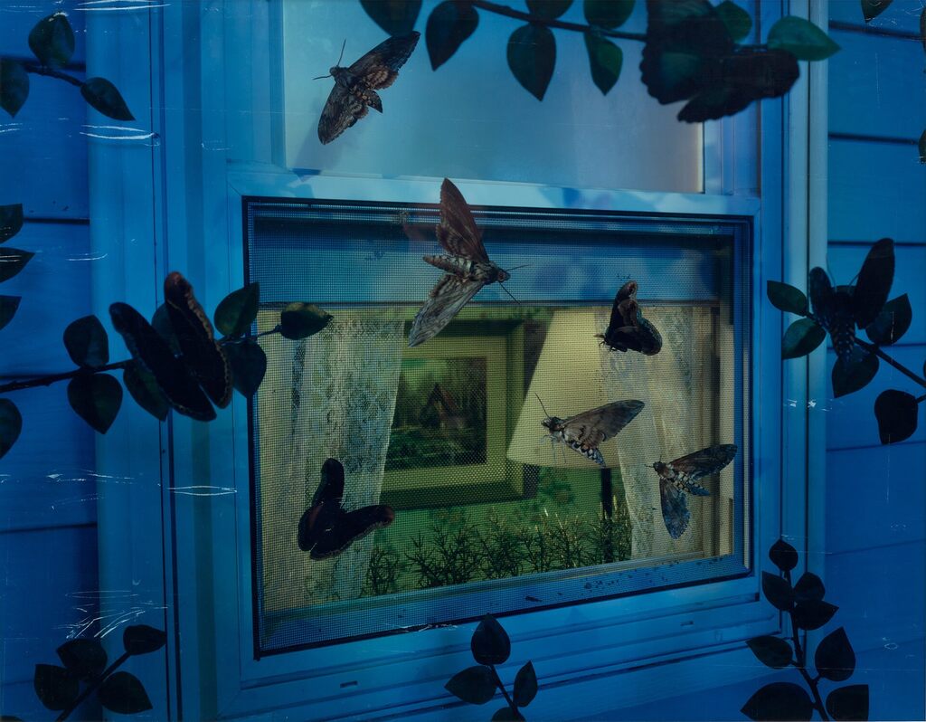 Untitled (window with screen)