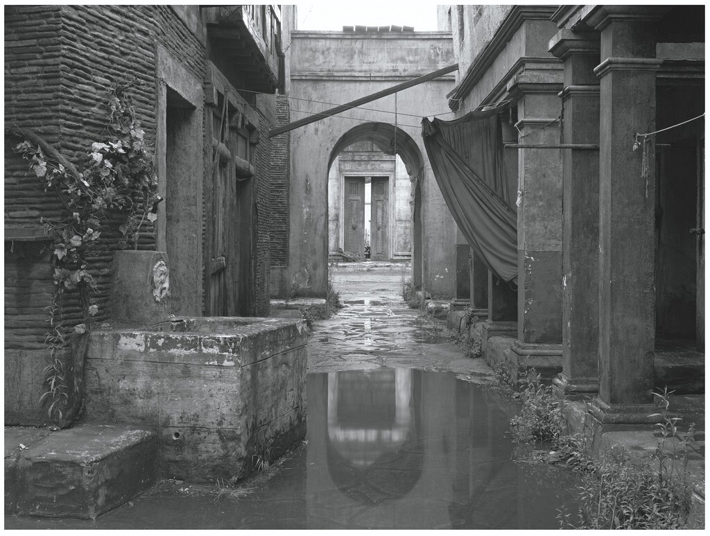 Untitled (18) (from the series Sanctuary)