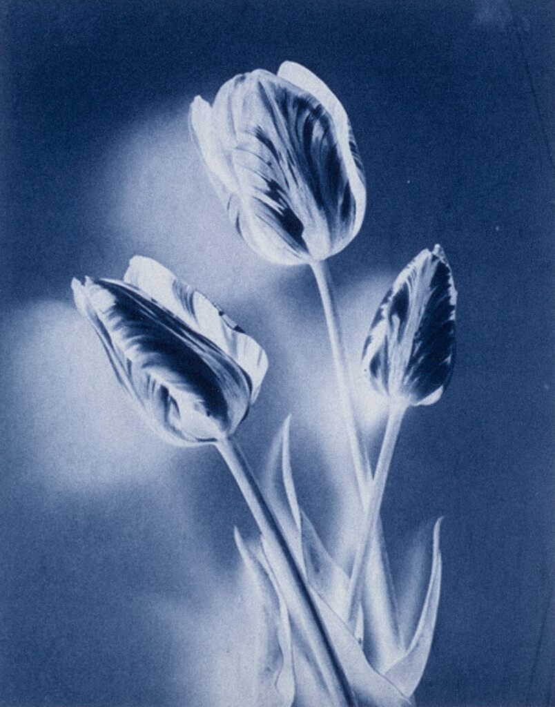 Neg.Stil_04, 2015