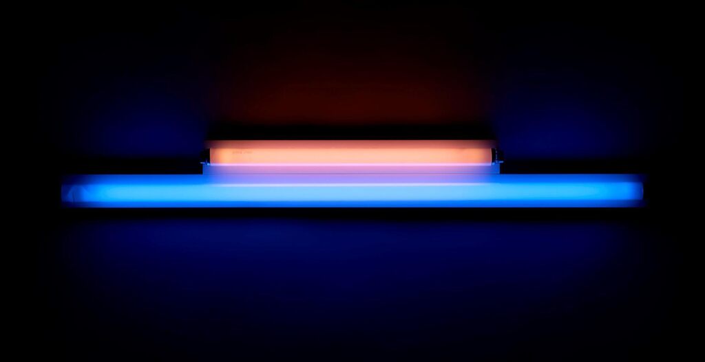 Untitled (for Charlotte and Jim Brooks) 7