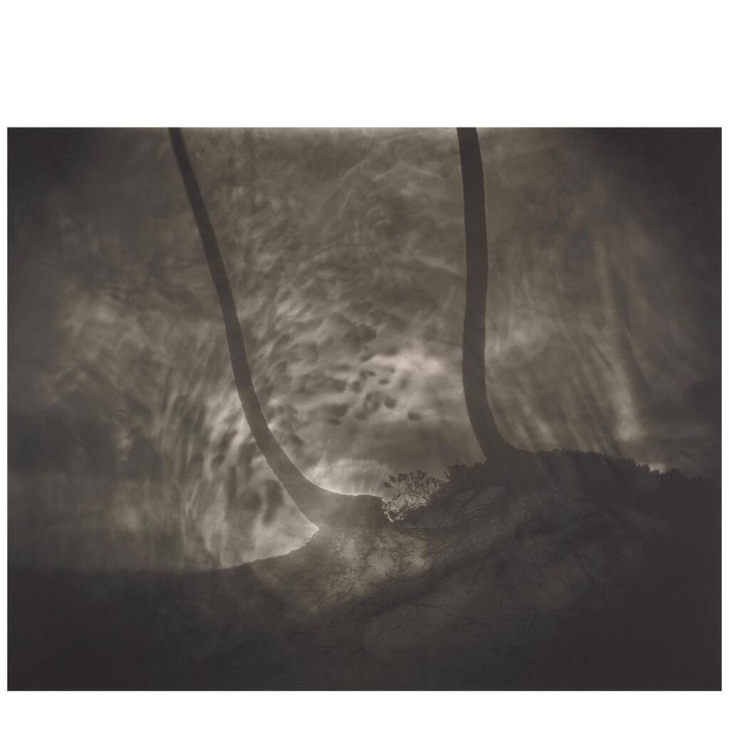 Untitled (from BAM Photography Portfolio II), 1999