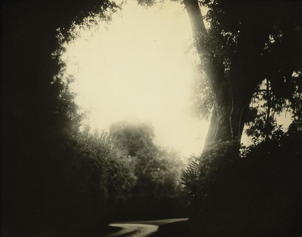 Untitled (Deep South #20)