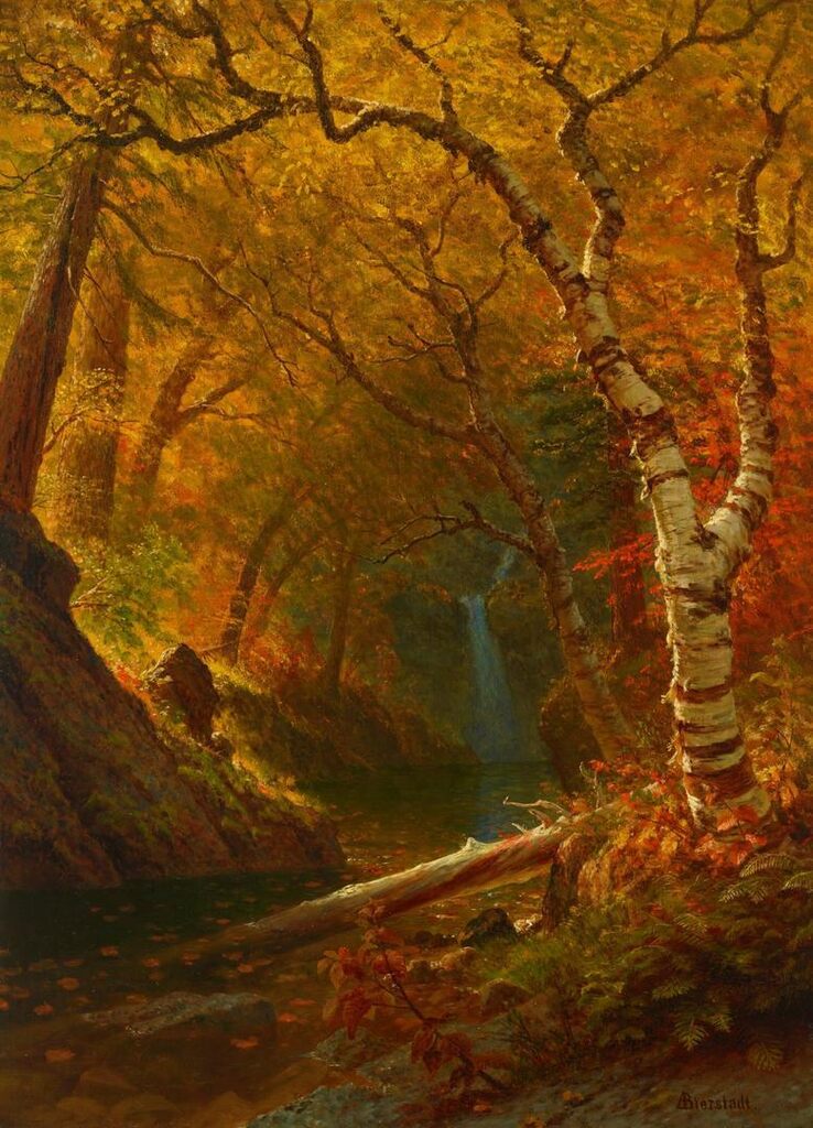 Woodland Pool