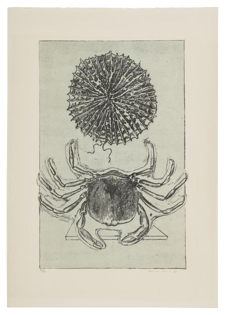 Histoire Naturelle