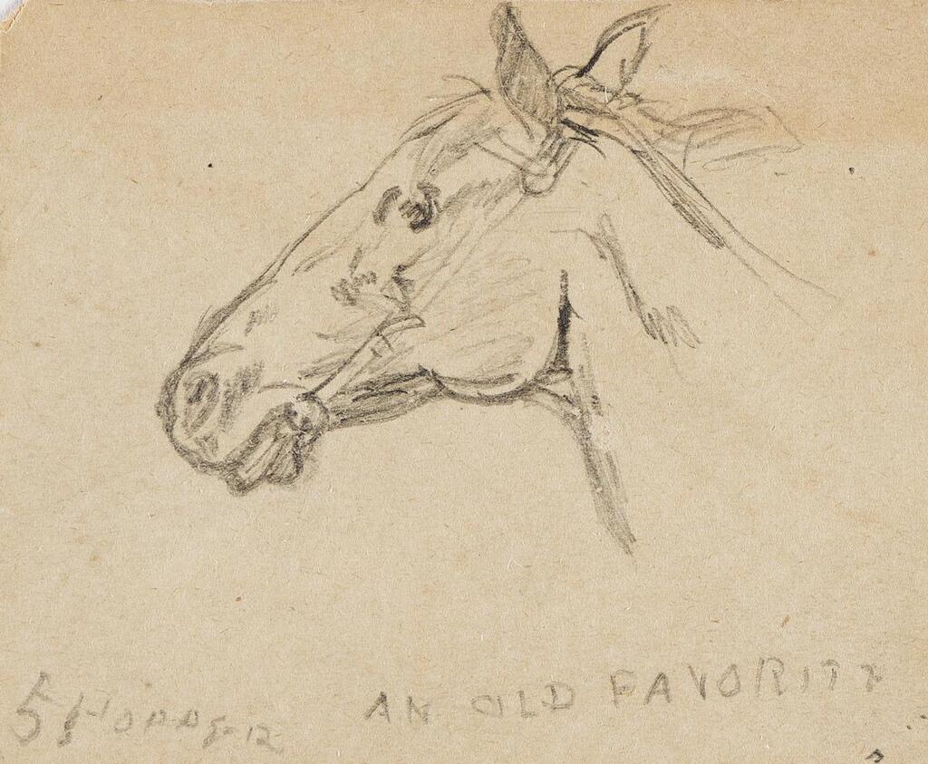 Study of a Horse (An Old Favorite)