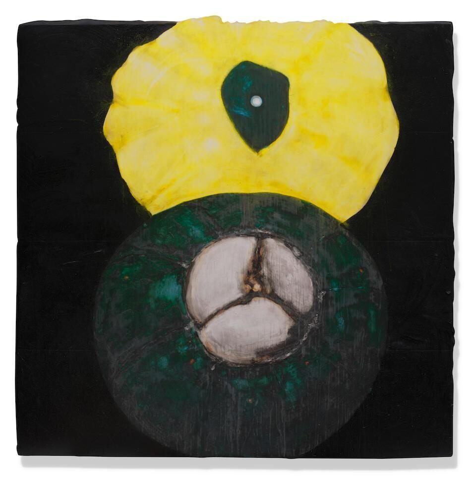 Green and Yellow Squash