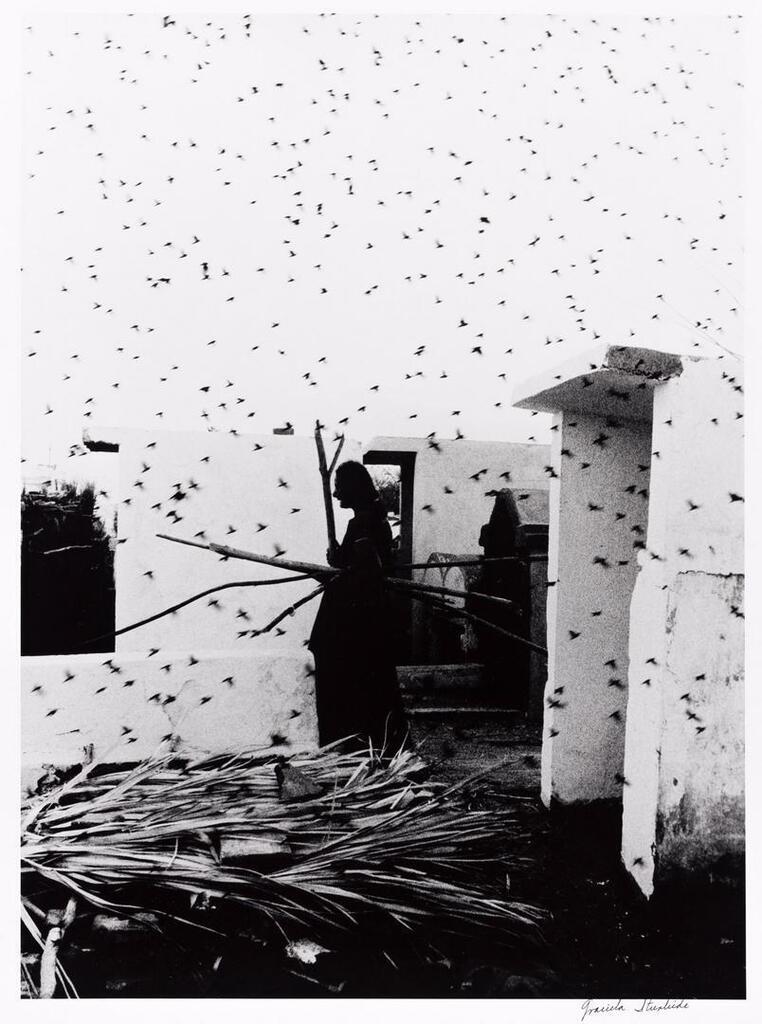 Cementerio Juchitan Oaxaca, 1988
