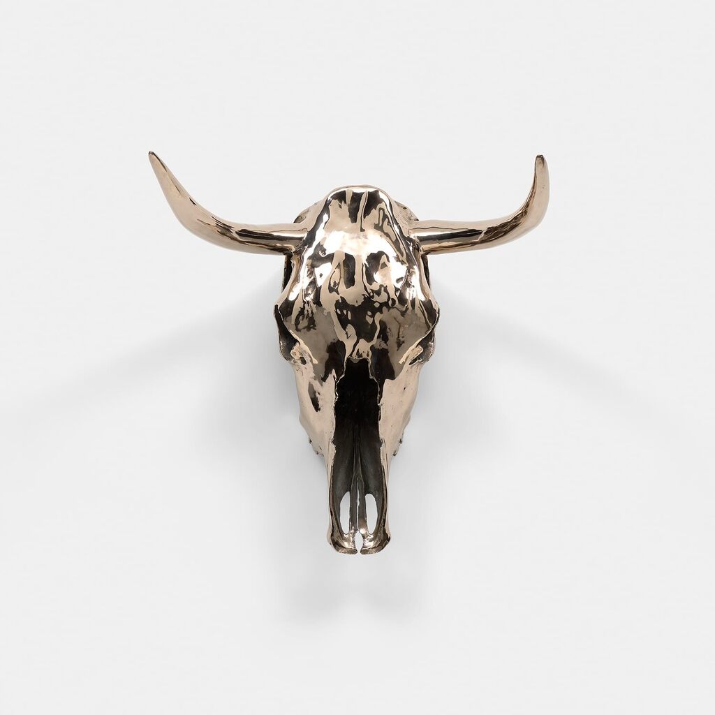 Horned Steer Skull