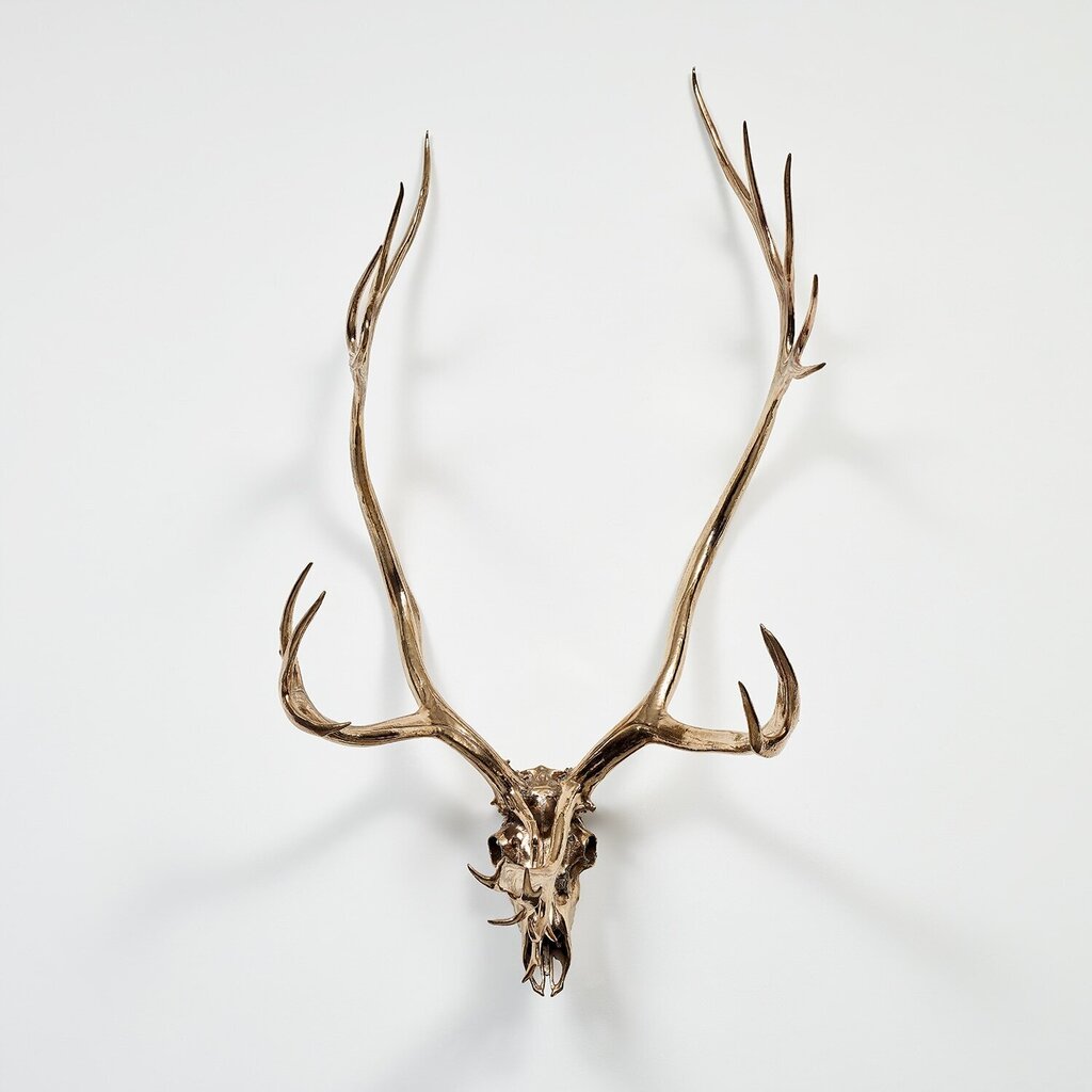 Caribou Skull