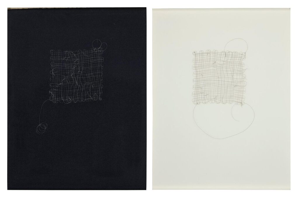 (i) Untitled (grey hair grid with knots 2); (ii) Untitled (hair grid with knots 4)