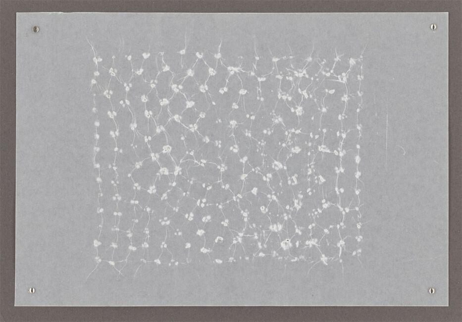 ”Untitled (impression on wax paper) 1”