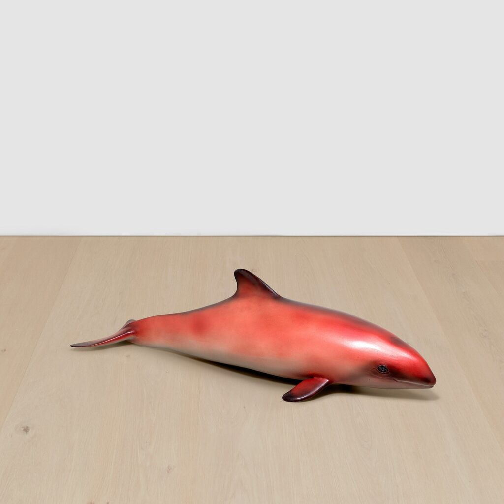 Red Baby Whale