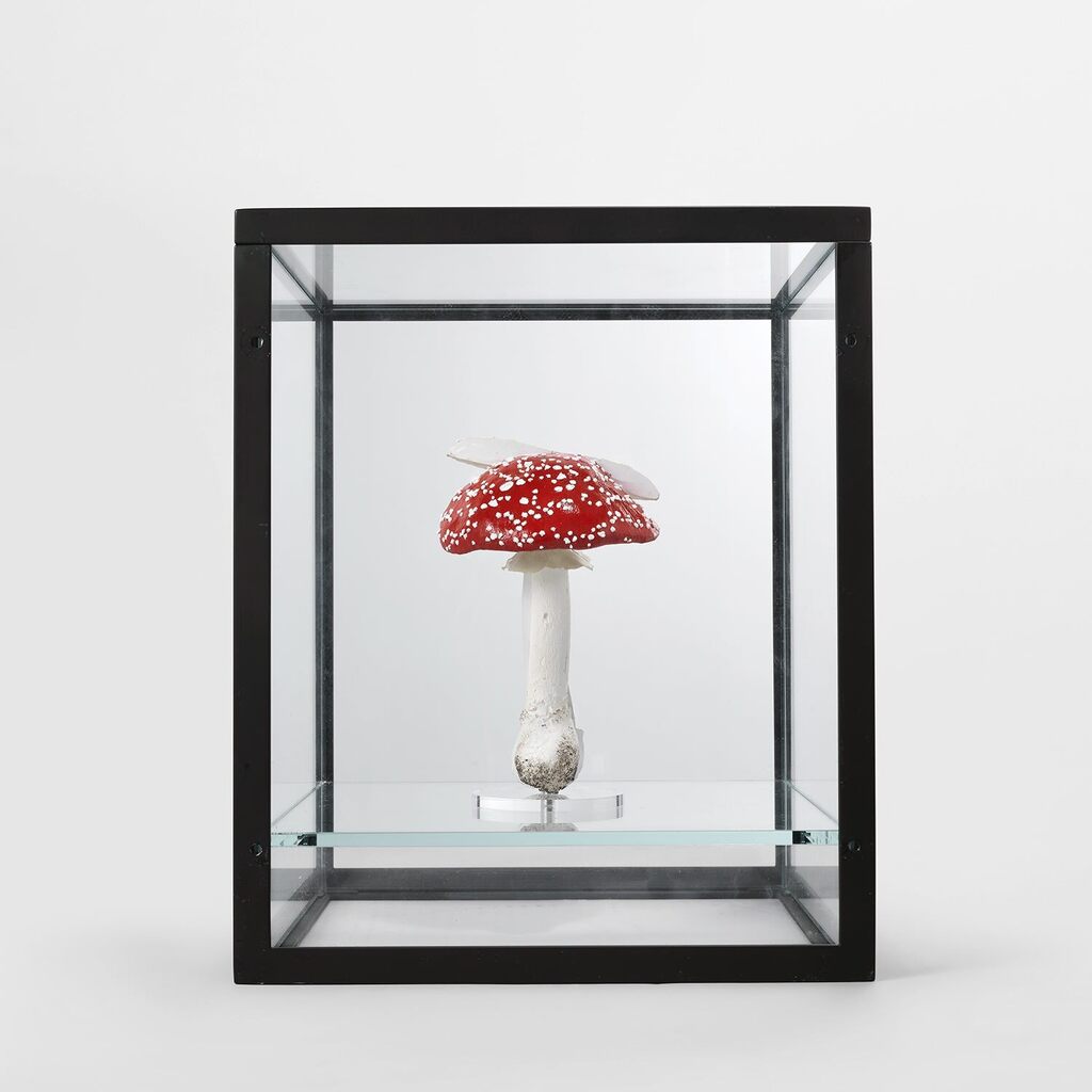 Double Mushroom Vitrine (Once)