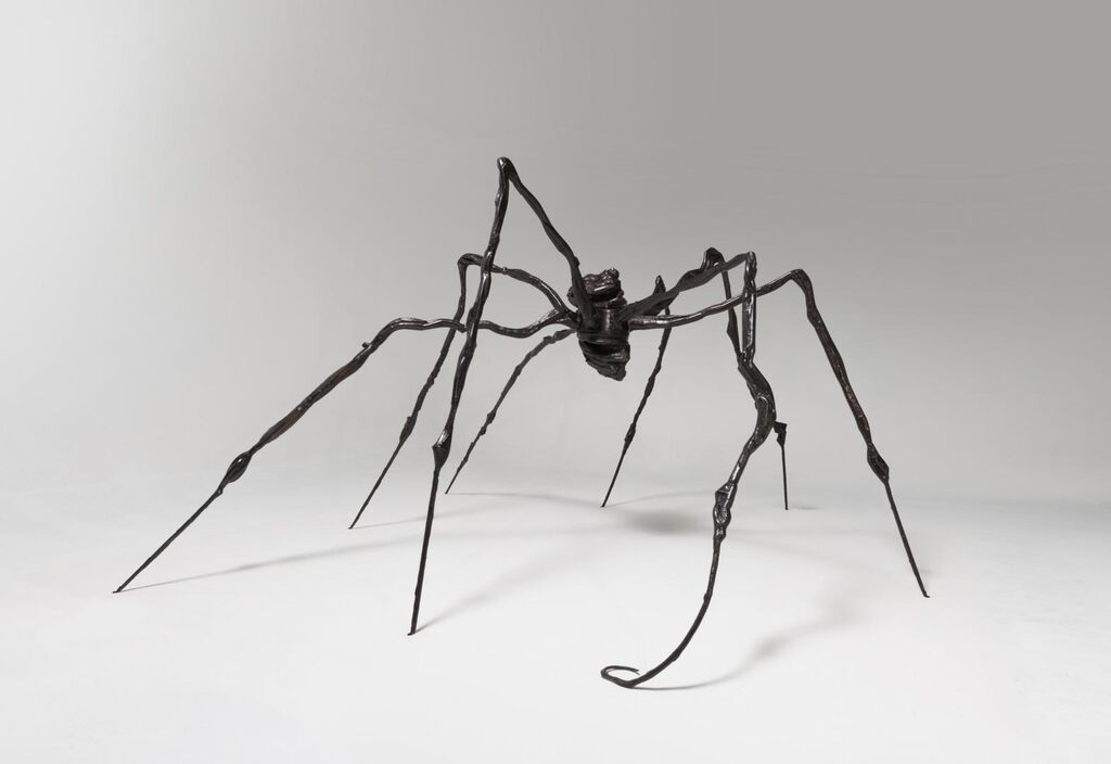 Spider