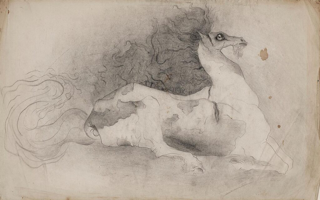 Bearded Horse