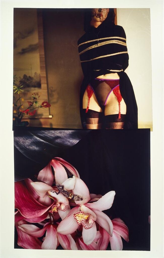 Hana Kinbaku - 73