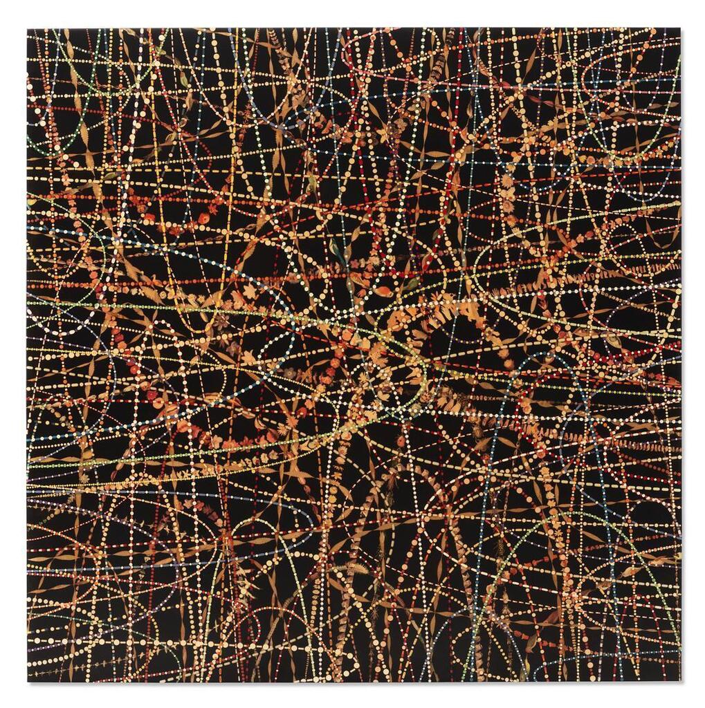 Gravity in Four Directions