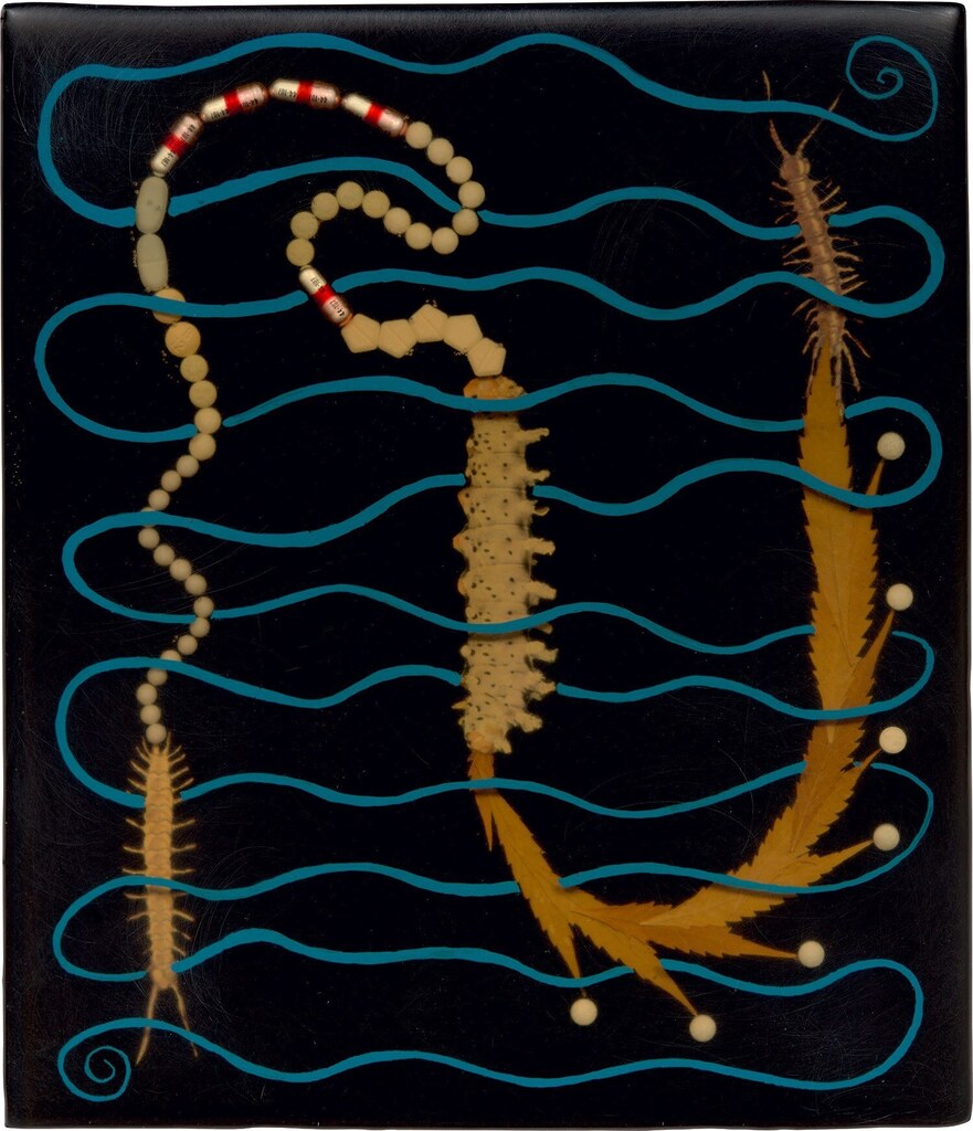 Worm, Warp, and Woof #1
