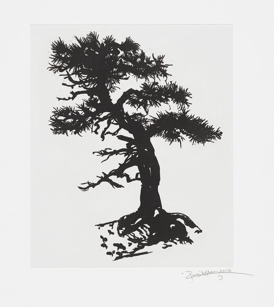 Black Pine Specimen Bonsai at the Sausage Factory, Spring 2016