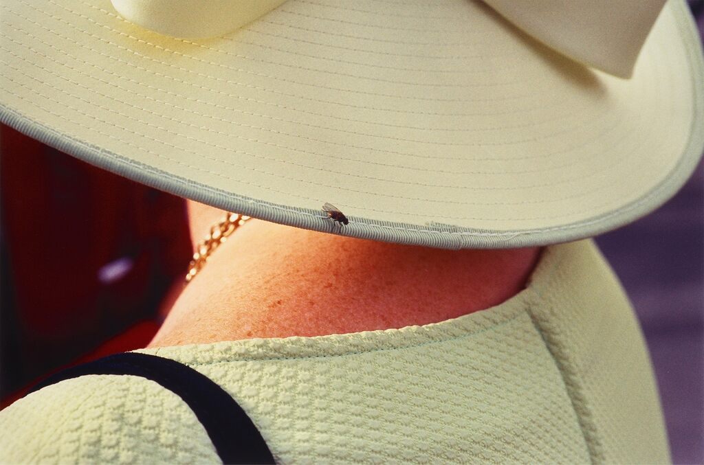 Galway Races from Luxury