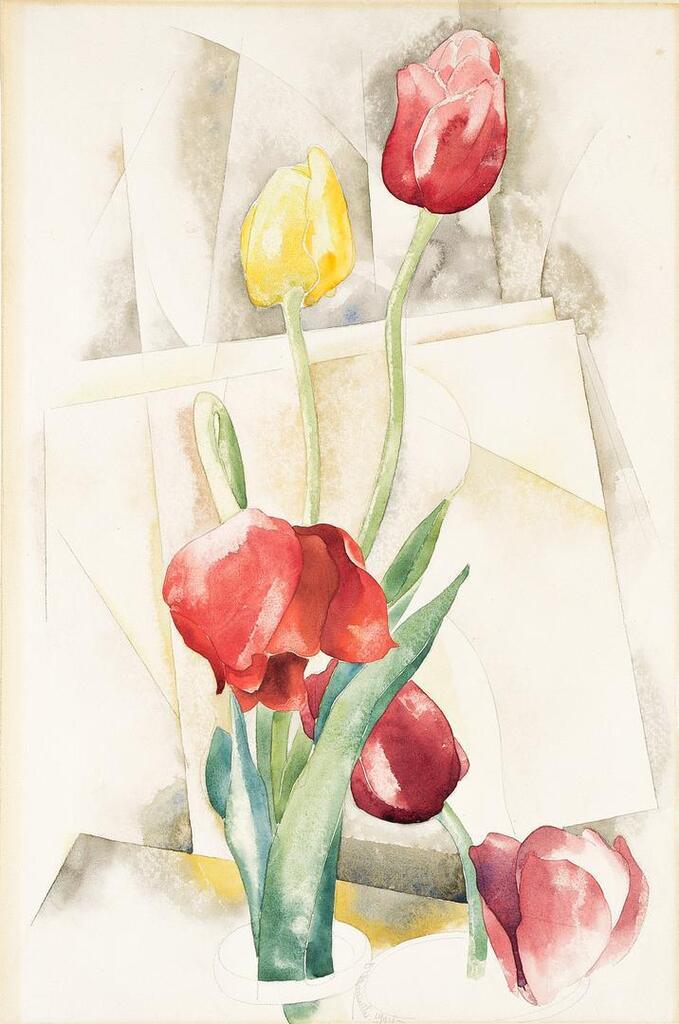 Tulips