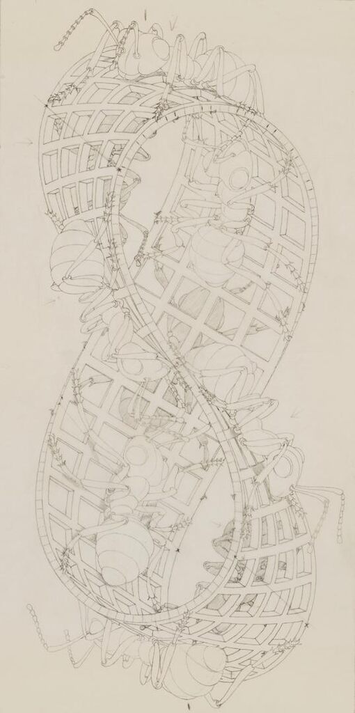 Ant Mobius Strip