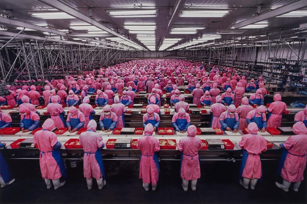 Manufacturing #17, Deda Chicken Processing Plant, Dehui City, Jilin Province, China