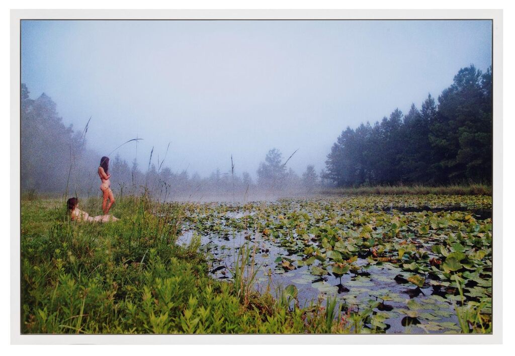 Water Lilies