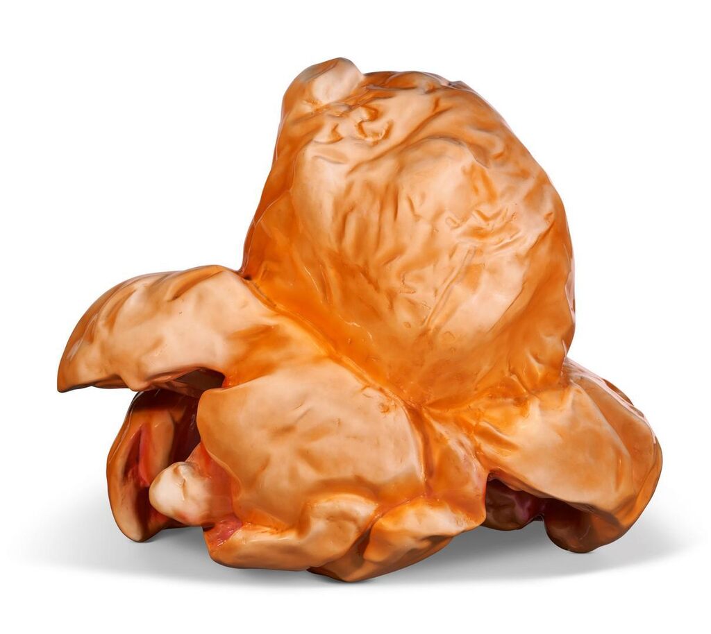 Popcorn Braun-Braun