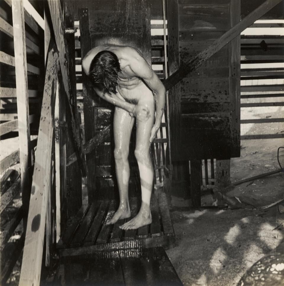 Jonathan Tichenor, Fire Island