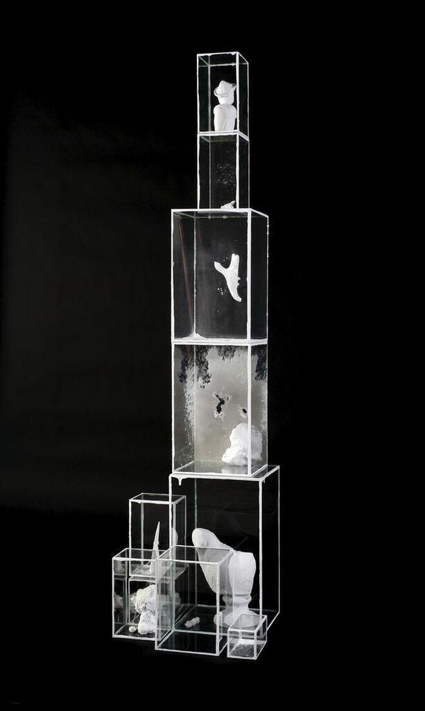 Untitled (Vitrines)