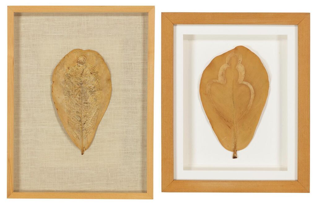 (i) Untitled (Leaf Drawing); (ii) Untitled (Leaf Drawing)