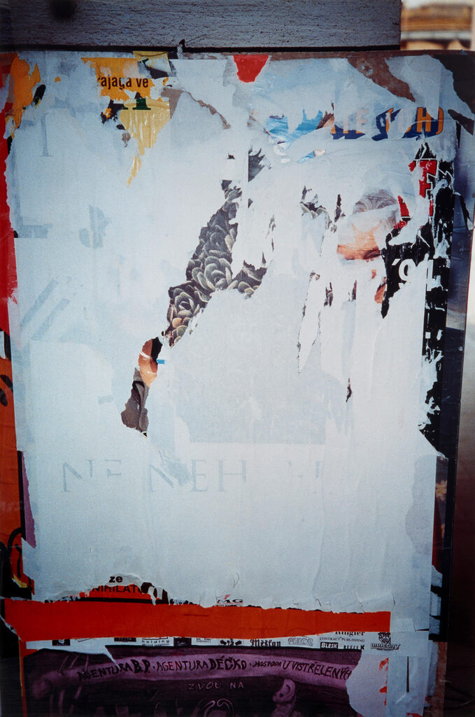 Prague (Collage with Roses)