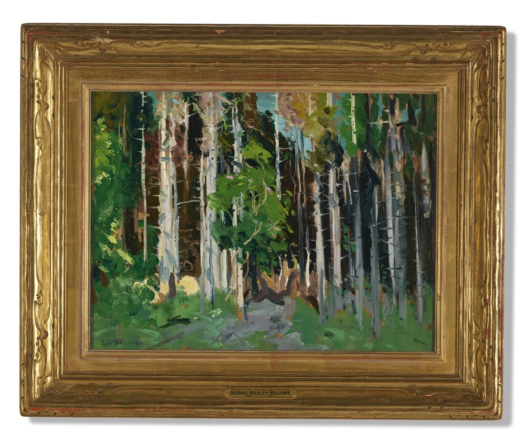 Through the Trees, Monhegan Island, Maine