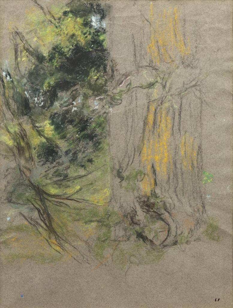 Etude d'arbres