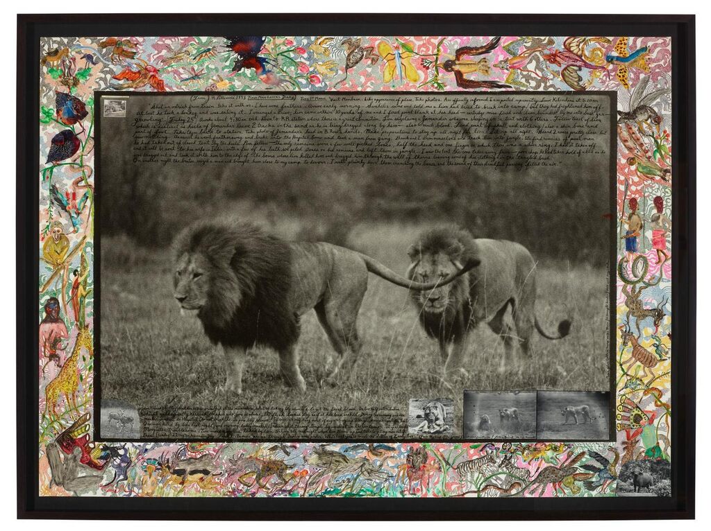 Black-maned Lions, near Glen Cattar's Camp on the Mara / N. Serengeti Borders with Reggie Destro, 1984