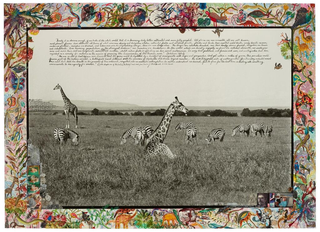Giraffes and Zebras, Kapiti Plains in the Shadow of Wami Hill where President Teddy Roosevelt disembarked in 1909 to join Philip Percival on his Safari off the Mombasa RR and where he shot his first lion, 1964