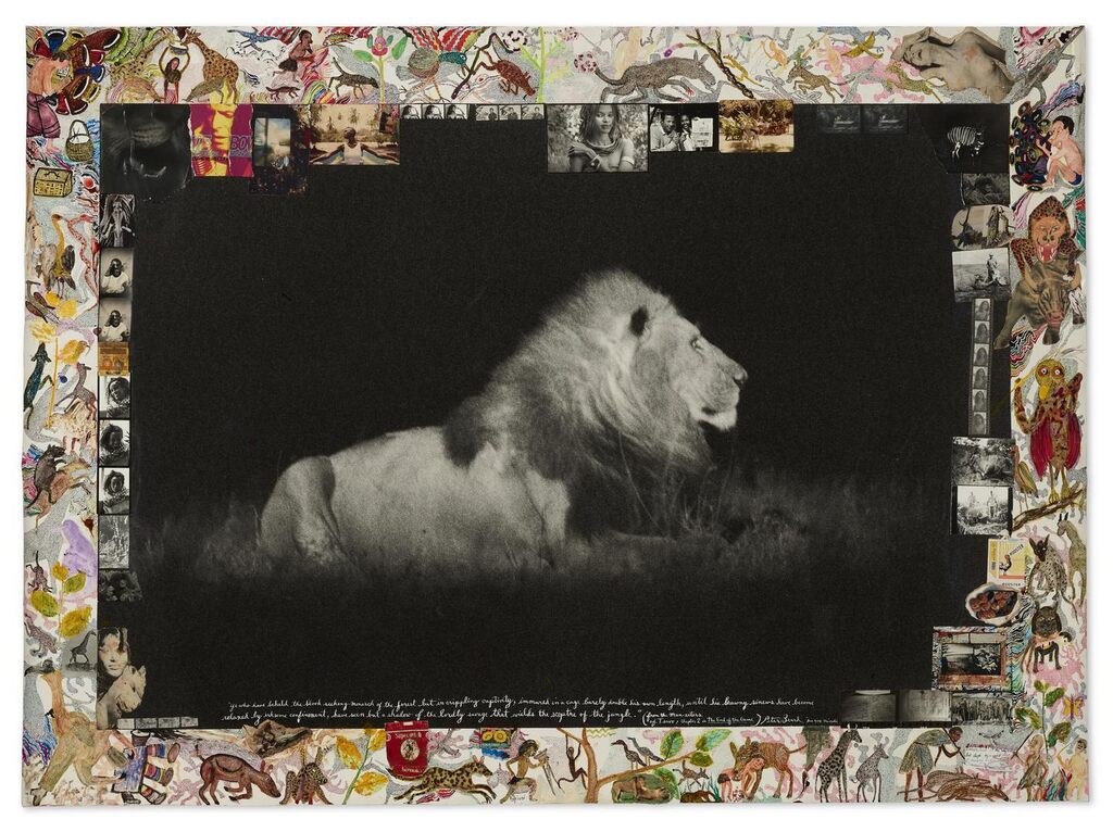Lion at Night, 1984